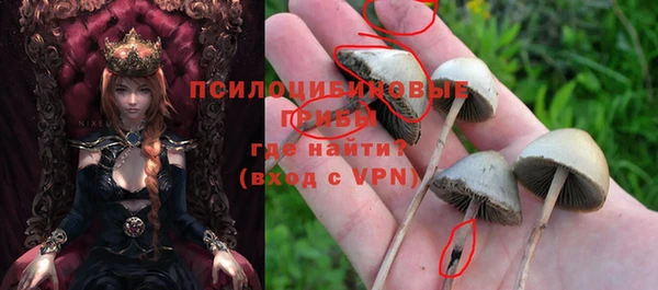 кокаин Арсеньев