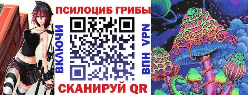 Псилоцибиновые грибы Cubensis Пушкино